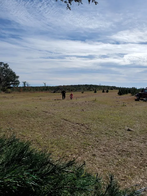 Powell Tree Farm & Vineyard