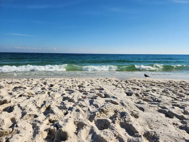 Gulf Shores Public Beach