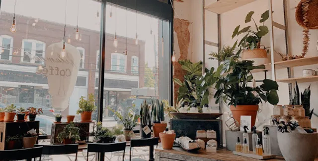 Filament Coffee + Tea