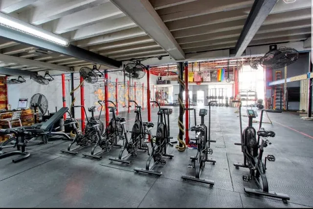 Live Free Fitness Club