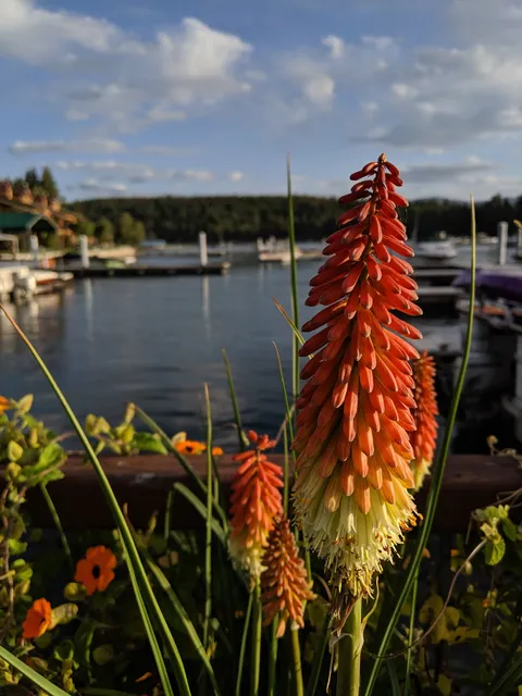 Hope Marine Services