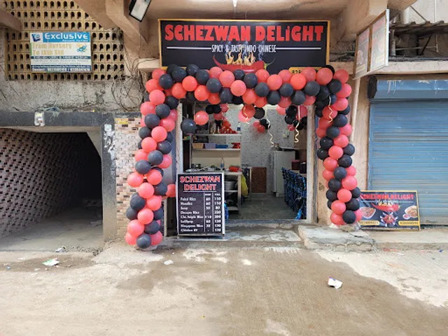 Schezwan Delight