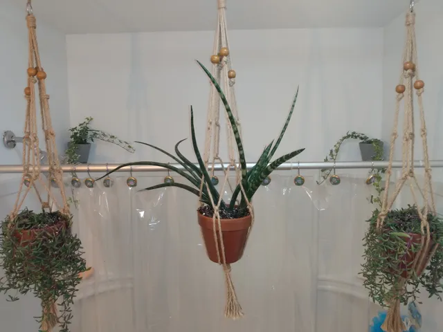 Parran's Greenhouse & Farm Market - Monroe