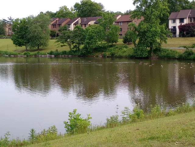 North Creek Lake Park