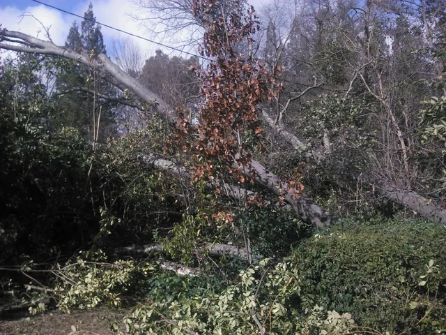 Rockwood Glen Horse Farm