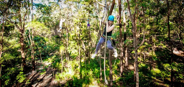 TreeTop Challenge Gold Coast Currumbin