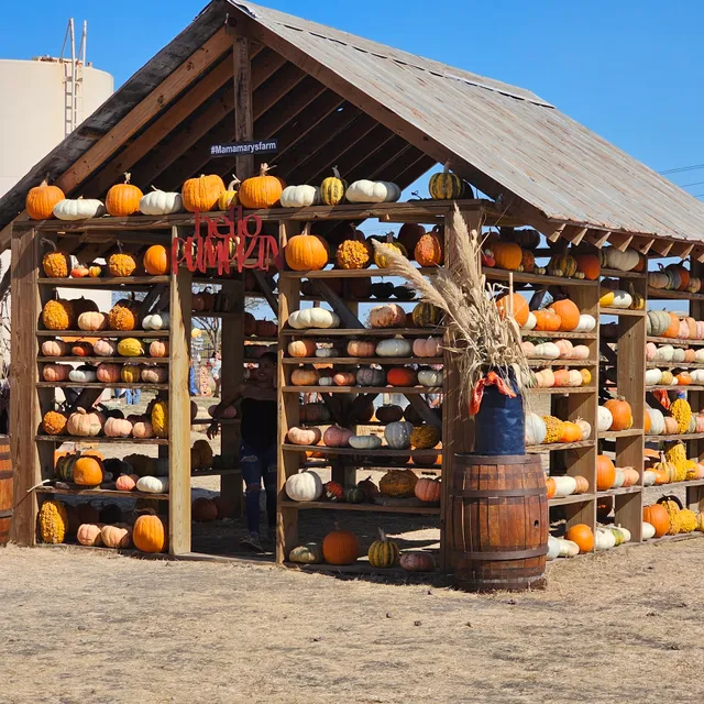 Mama Mary's Farm & Pumpkin Patch