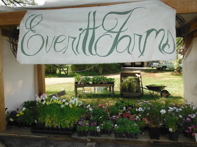 Everitt Farms Christmas Trees