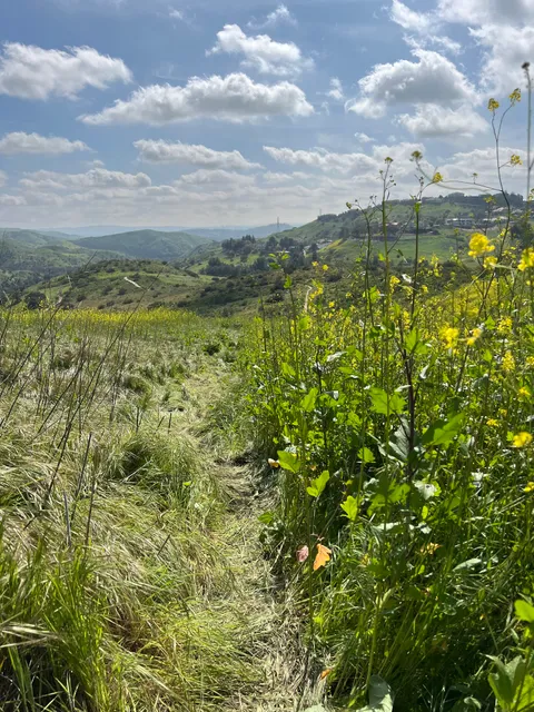 Weir Canyon trailhead