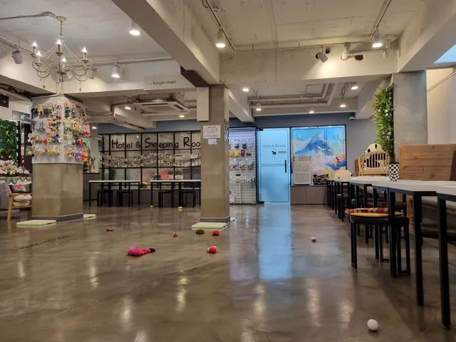 Bong Brothers' Dog Cafe 강아지카페