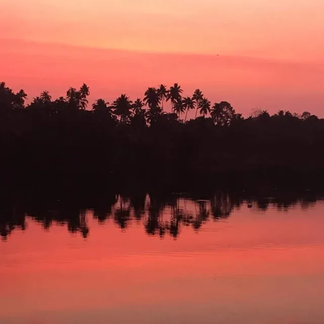 Big Banana Island Retreat