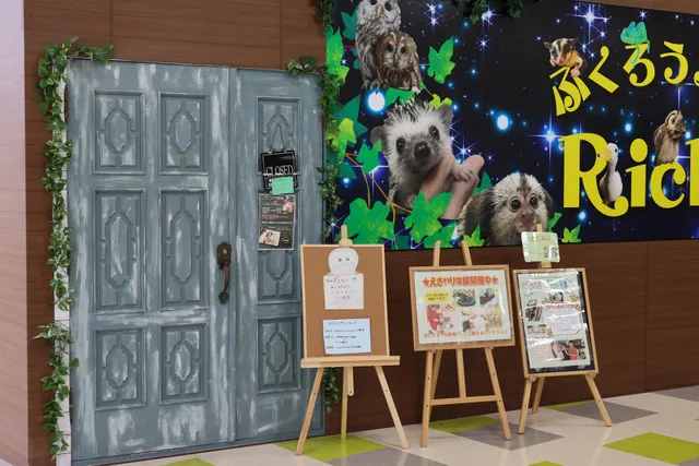 Fukurokafe Ricky Tochigiten +