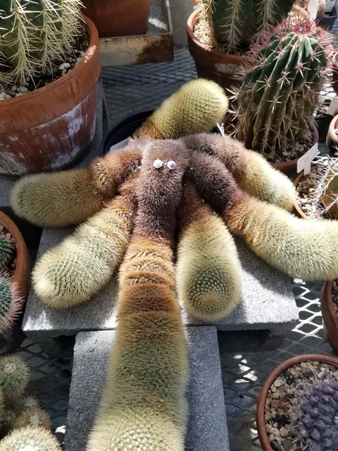University of Washington - Department of Biology Greenhouse