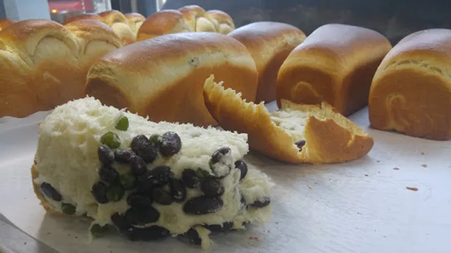 시냇가에심은나무