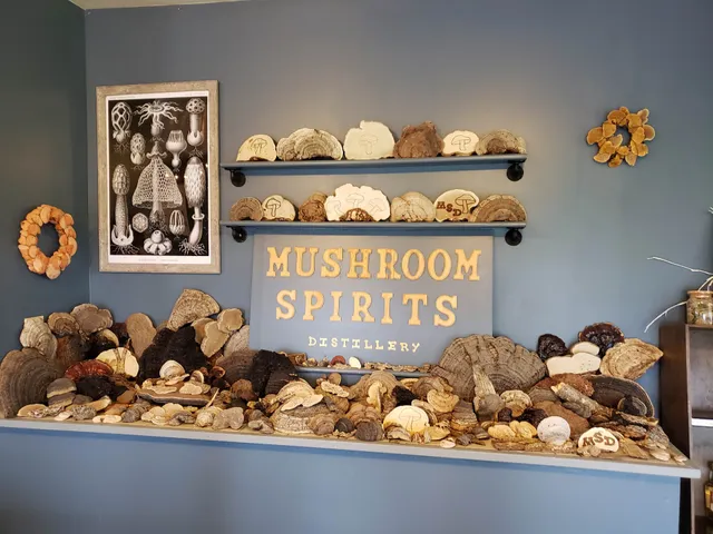 Mushroom Spirits Distillery Ithaca