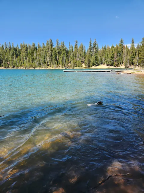 Little Grass Valley Reservoir-Peninsula Tent Campground-Boat Launch
