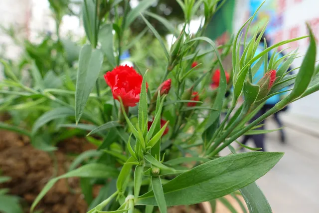 Eshan Park （East Gate）