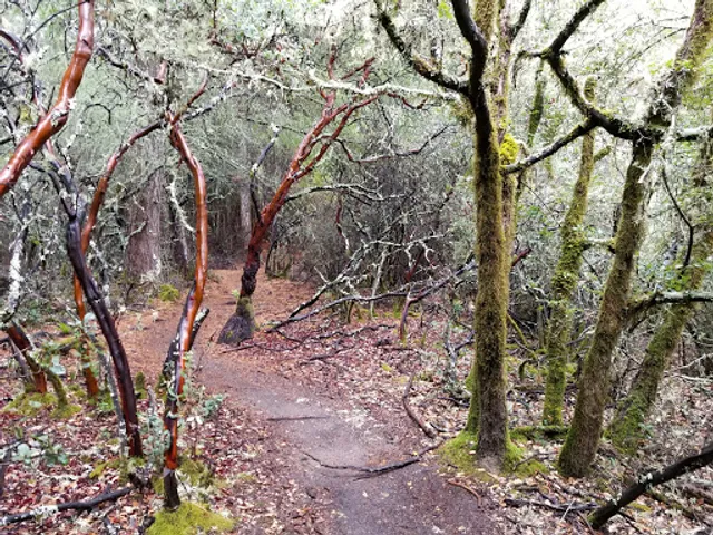 UCSC Upper Campus Natural Reserve