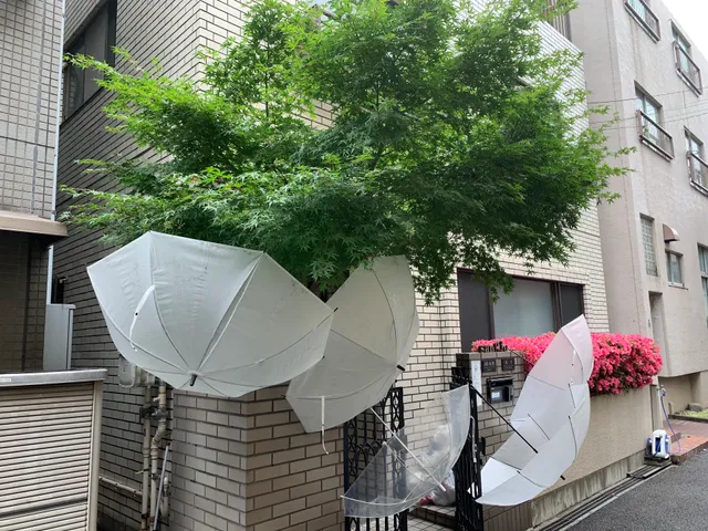 Sangjo house in Tokyo