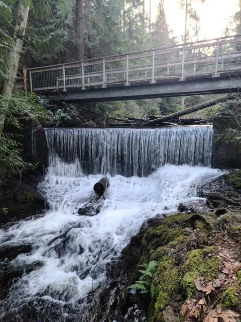 Dickerson Creek Falls