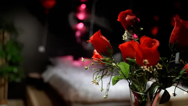 Loveroomeo Pontarlier