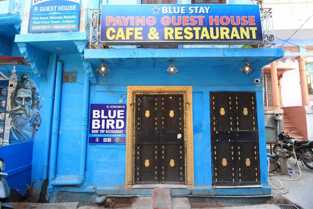 blue stay Jodhpur
