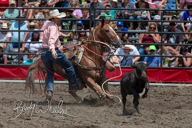 Attica Rodeo & Show Association