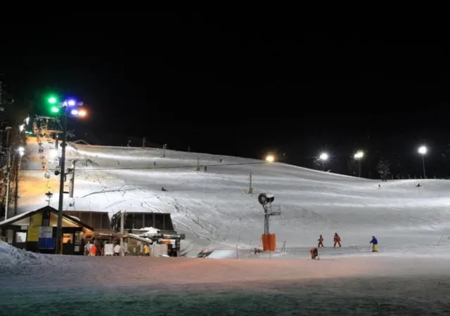 Alpine Chalets Hakuba