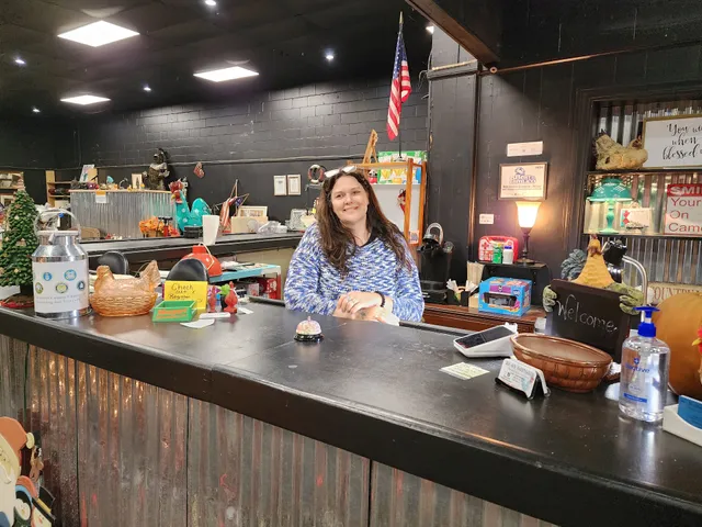 Busy Chicks Bargain House & Auctions