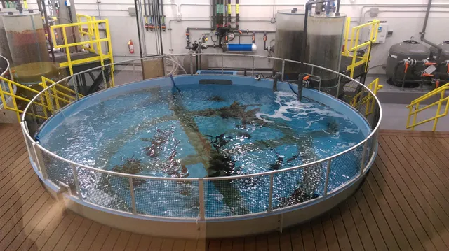 National Aquarium Animal Care and Rescue Center