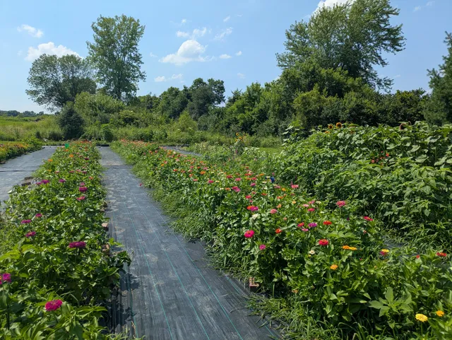 Figureoutable Farm Flower Patch and Produce Stand