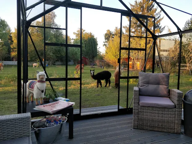 Alpakadorf - Touren, Lädchen & Café