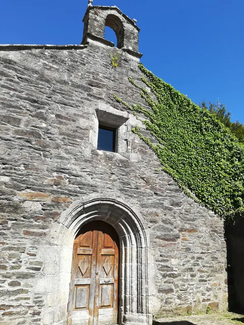 Pensión Domus Gallery