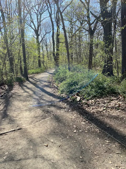 Forest Park Blue Trail Head