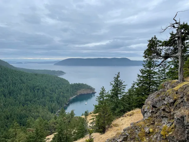 Cypress Island