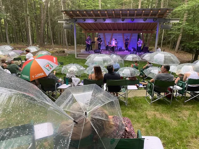 Harmony In The Woods