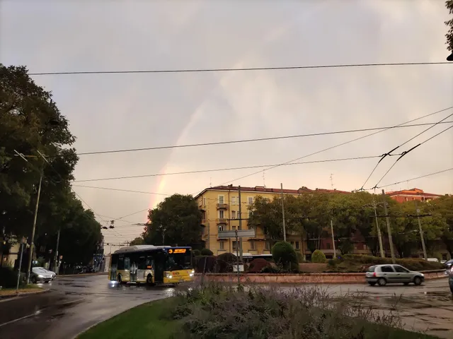 BAR TABACCHERIA TROPICAL - di Sun Yimin