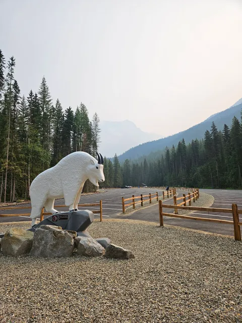 Robson River Campground