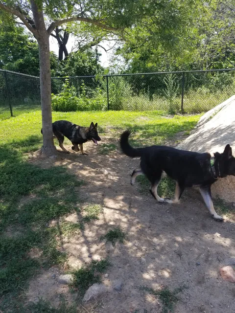 Gloucester Dog Park