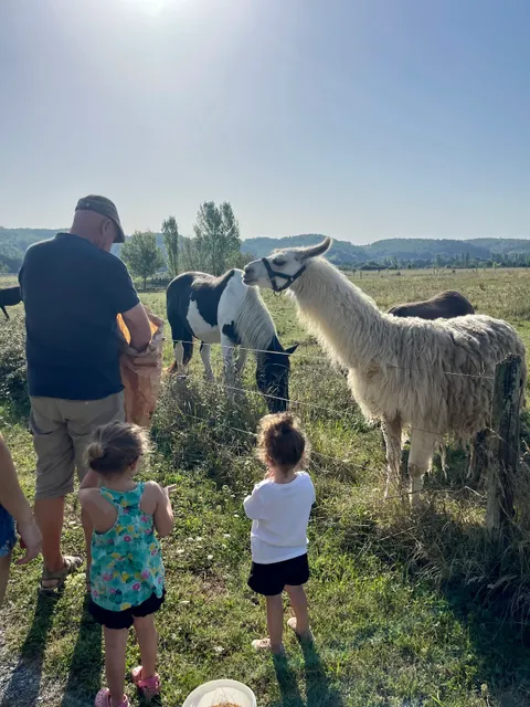 Bienvenue à l'Aoueille