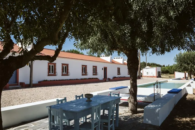 Nature Forest Tourism