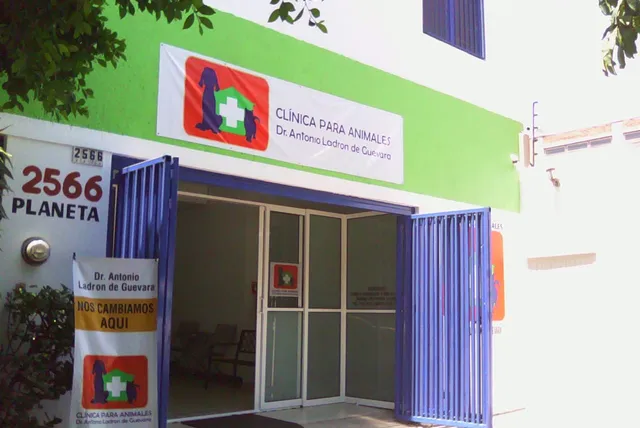 Ladrón de Guevara Antonio