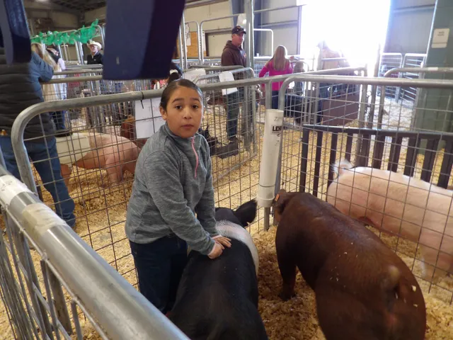 San Patricio County Fairgrounds & Event Center