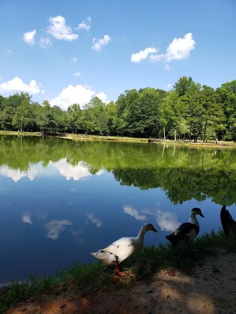 Stoneybrook Fishing Lake