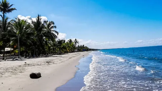 Finca El Paraiso Palomino