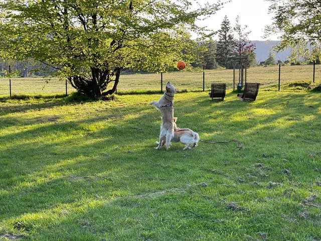 Altes Forsthaus Königskrug