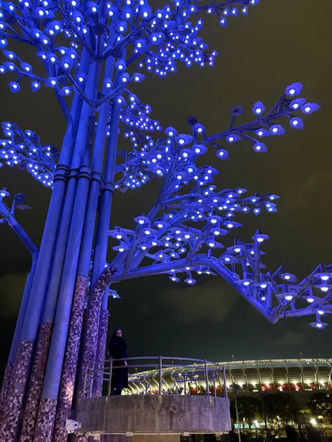 Árbol de la innovacion