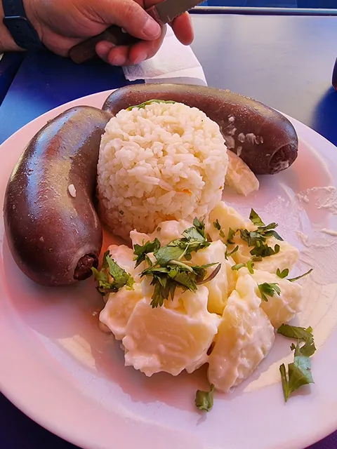 Los Cari, PICA Viña Arlegui 1938