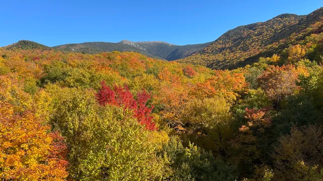 Governor Gallen Memorial