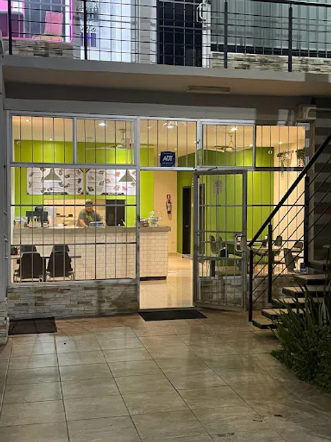 Wrap & Roll (Valle Dorado)